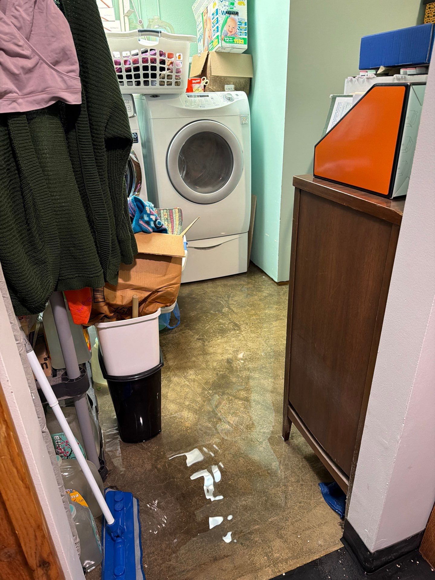 Mold After Water Damage in Gaston: Removal Checklist